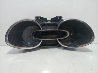 CUADRO INSTRUMENTOS 248107073R