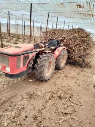 Tractor Articulado: tractorista