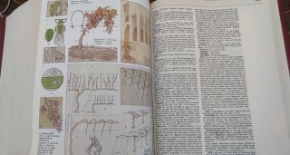 Grande Dizionario Illustrato Lingua It. Gabrielli