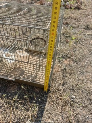 Jaula para pájaros metálica