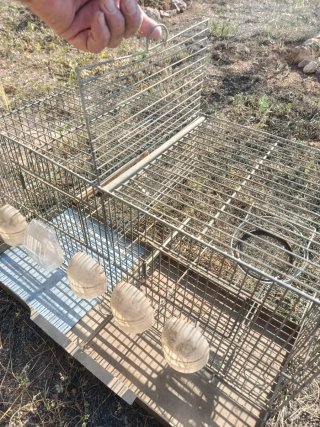 Jaula para pájaros metálica