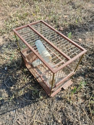 Jaula para pájaros pequeña