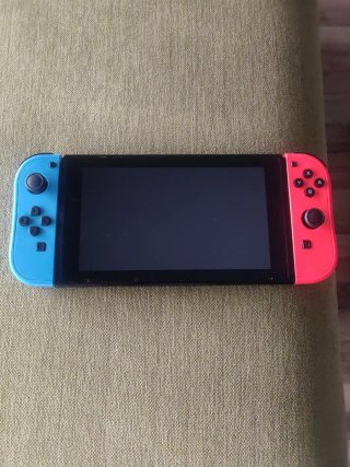 Nintendo Switch fly