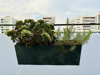 Jardineras con plantas