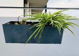 Jardineras con plantas