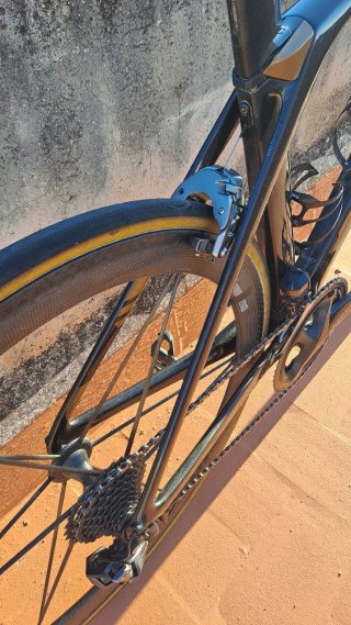Trek Madone Project One