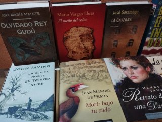 Lote de 25 libros Grandes Escritores.