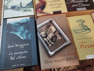 Lote de 25 libros Grandes Escritores.