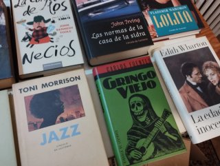 Lote de 25 libros Grandes Escritores.