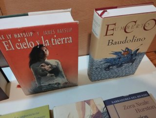 Lote de 25 libros Grandes Escritores.