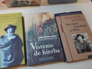 Lote de 25 libros Grandes Escritores.