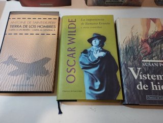 Lote de 25 libros Grandes Escritores.
