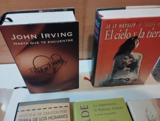 Lote de 25 libros Grandes Escritores.