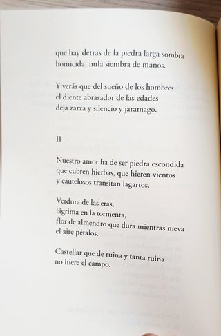 Siete maneras de matar a un pájaro