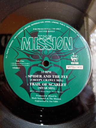 Vinilo EBM remember