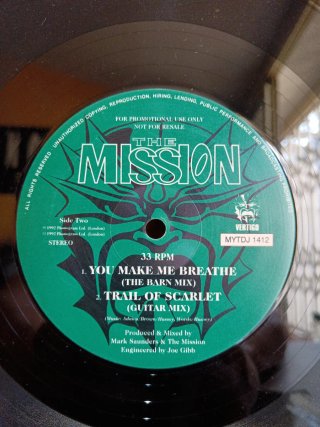 Vinilo EBM remember