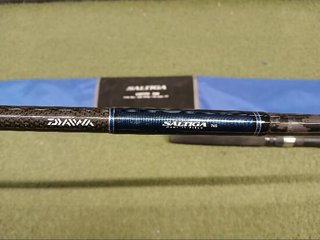 DAIWA SALTIGA CASTING 76S