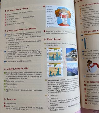 Vacances. 5è Educació Primària. Cicle superior