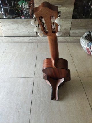 Guitarlele con funda