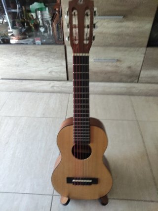 Guitarlele con funda