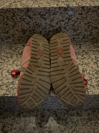 Zapatillas El Ganso Rosas y Rojas