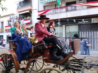 Alquiler carruaje carroza coche de caballos