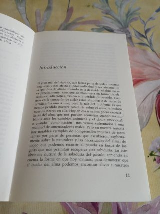 El cuidado del alma guía para el cultivo de lo ...