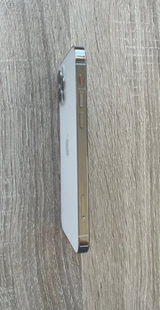 iPhone 12 Pro 100%