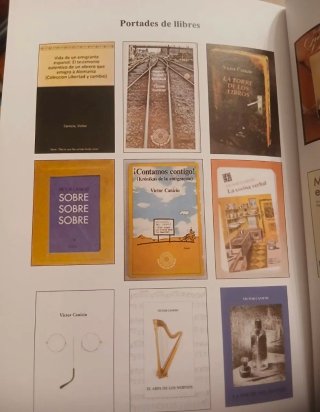 Poesia El Arpa De los Nervios Victor Canicio Nuevo