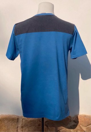 Camiseta Carhartt Azul y Gris