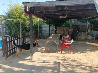 Parcela de rustica