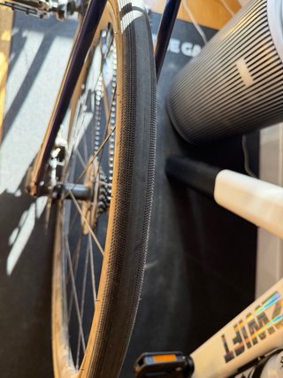 Bicicleta Carretera Trek Domane AL 2 DISC Gen 3