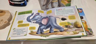 67 Cuentos ilustrados de animales.