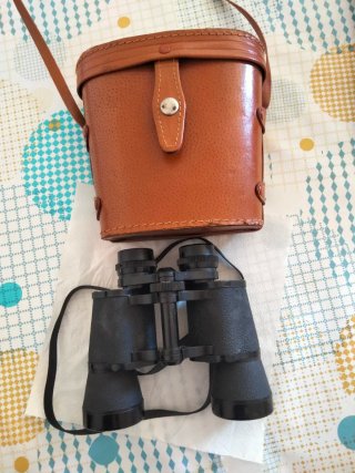 Prismáticos con funda de cuero