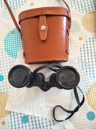 Prismáticos con funda de cuero