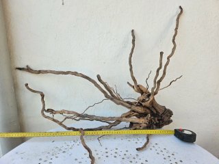 Raíz Spider XXL para acuarios/terrarios