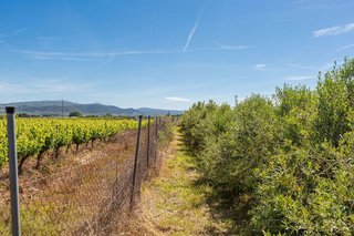 Terreno en venta en Tafalla