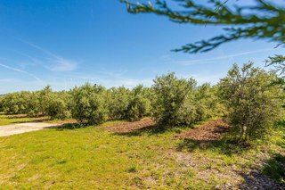 Terreno en venta en Tafalla