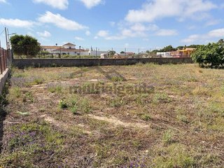 Nave industrial en venta en Ctra Jerez-Ctra del Puerto en Sanlúcar de Barrameda