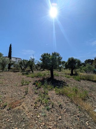 Terreno en venta en Santa María en Ciudad Real