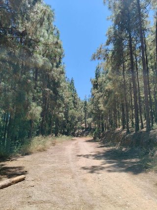 Piso en alquiler en Hipódromo - Cerrado del Águila en Mijas