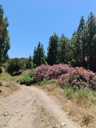 Piso en alquiler en Hipódromo - Cerrado del Águila en Mijas