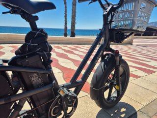 Fiido T2 Longtail Cargo E-bike