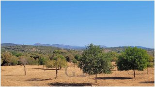 Terreno en venta en Manacor Centro en Manacor