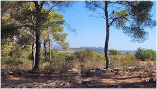 Terreno en venta en Manacor Centro en Manacor