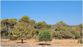 Terreno en venta en Manacor Centro en Manacor
