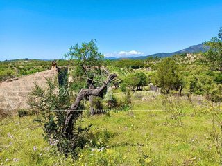 Solar en venta en Alaró