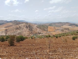 Terreno en venta en Álora