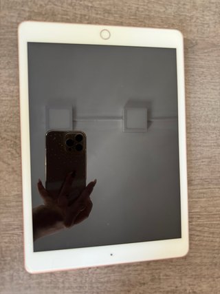 Apple Pencil (1ª Gen) + Funda
