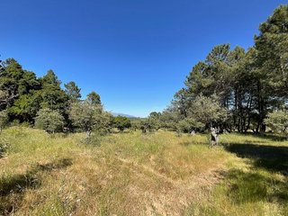 Terreno en venta en Valverde de la Vera
